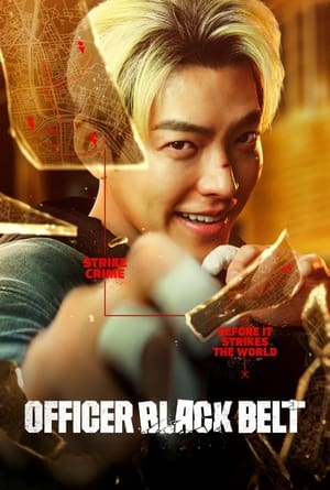 Officer Black Belt 2024 Hindi Dual Audio – 720p – 480p